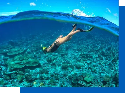 Aumenta el valor de tu empresa con Thrifty